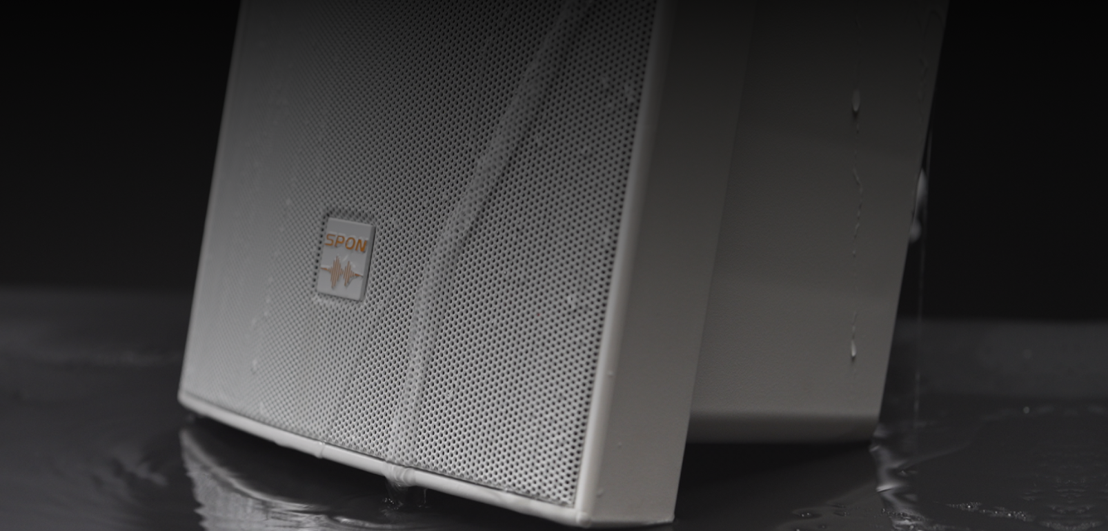 Thiết kế chuẩn IP66 của Loa IP Spon GEN-6011A03